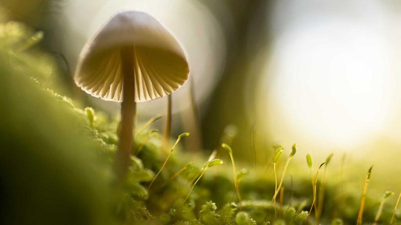 凯发备用网址智能数据分析平台亮点